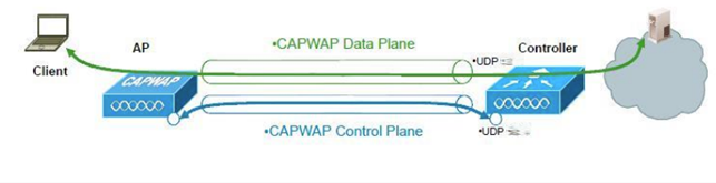 CAPWAP-based control and traffic flow